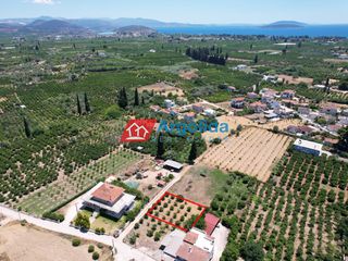 Οικόπεδο 530 τ.μ. προς πώληση, Κέντρο Ασίνης-thumb-5