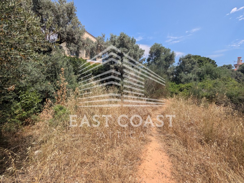 Οικόπεδο 590 τ.μ. πρός πώληση, Αθήνα - Ανατολικά Προάστια, Νέα Μάκρη