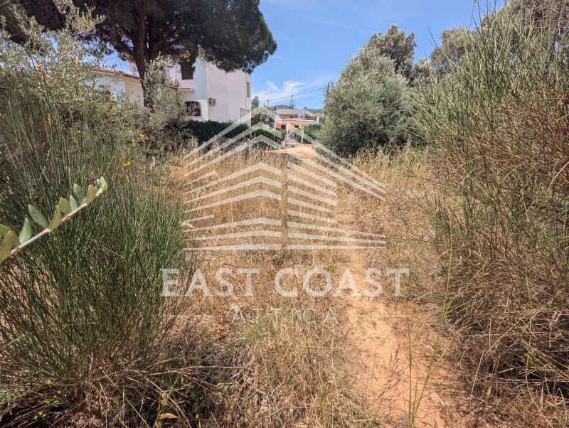 Οικόπεδο 590 τ.μ. πρός πώληση, Αθήνα - Ανατολικά Προάστια, Νέα Μάκρη