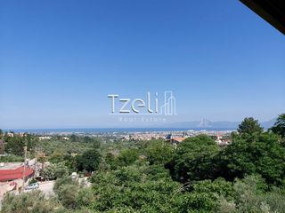 Κτίριο 508 τ.μ. για πώληση, Αχαΐα, Μεσσατίδα-thumb-8