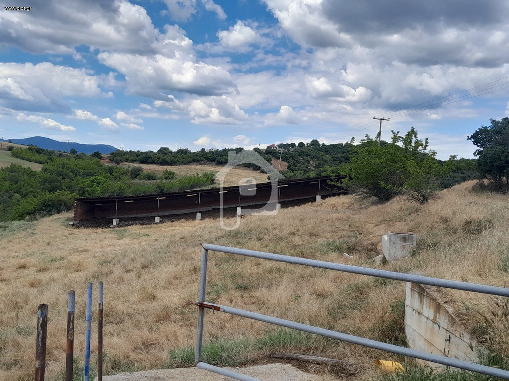 Φάρμα / ράντσο 5.000 τ.μ. προς πώληση, Ασκός Σοχού