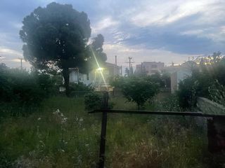 Land plot 323 sqm for sale