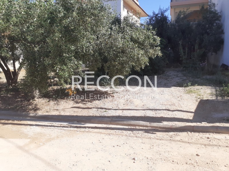 Οικόπεδο 214 τ.μ. προς πώληση, Μπάλανα