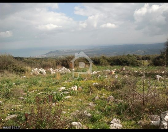 Οικόπεδο 1.500 τ.μ. για πώληση, Μεσσηνία, Αίπεια