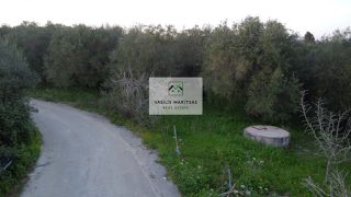 Οικόπεδο 3.223 τ.μ. για πώληση