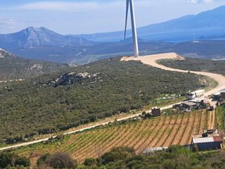 Αγροτεμάχια 20.000 τ.μ. για πώληση