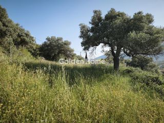 Οικόπεδο 866 τ.μ. για ενοικίαση