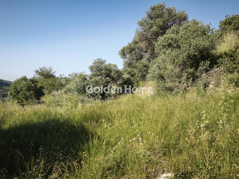 Οικόπεδο 866 τ.μ. προς ενοικίαση, Κάτω Αρχάνες