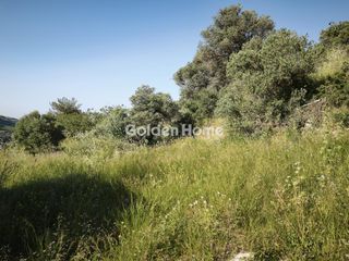 Οικόπεδο 866 τ.μ. πρός ενοικίαση, Ν. Ηρακλείου, Αρχάνες-thumb-2