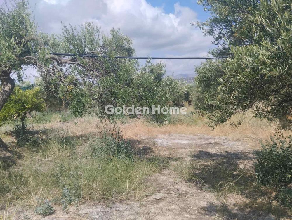 Οικόπεδο 800 τ.μ. προς ενοικίαση, Άγιος Σύλλας Τεμένους