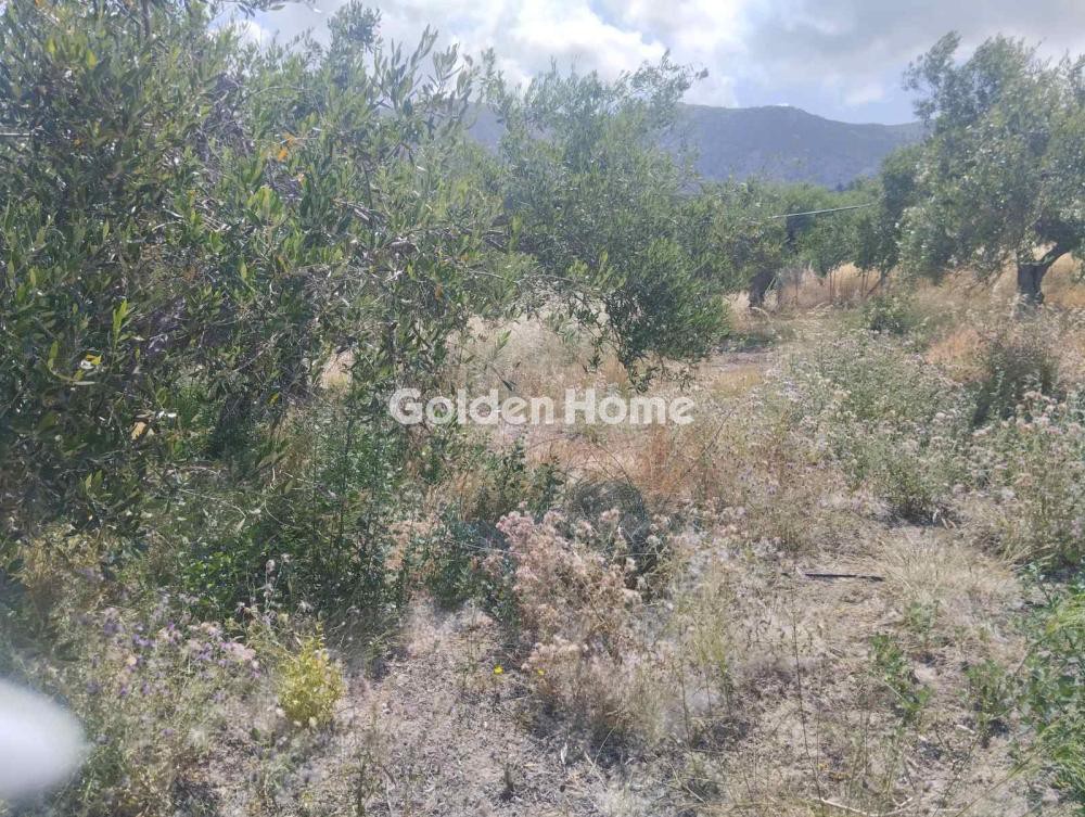 Οικόπεδο 800 τ.μ. προς ενοικίαση, Άγιος Σύλλας Τεμένους