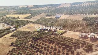 Οικόπεδο 4.000 τ.μ. για πώληση