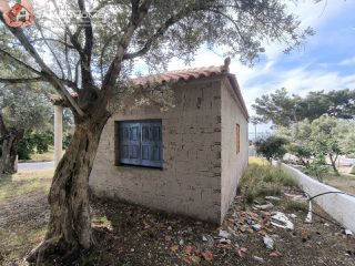 Επιχειρηματικό κτίριο 73,30 τ.μ. για πώληση, Ν. Σάμου, Σάμος-thumb-3