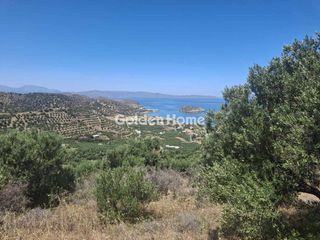 Αγροτεμάχια 3.800 τ.μ. για πώληση, Ν. Λασιθίου, Σητεία-thumb-1