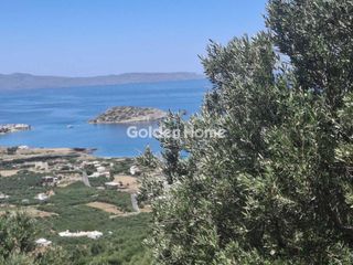 Αγροτεμάχια 3.800 τ.μ. για πώληση