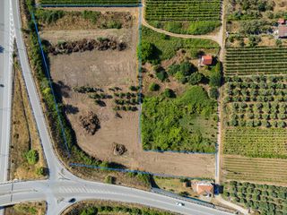 Αγροτεμάχια 7.150 τ.μ. για πώληση, Ν. Καβάλας, Ελευθερές-thumb-3