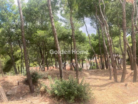 Οικόπεδο 568 τ.μ. για πώληση, Αττική - Υπόλοιπο, Ραφήνα