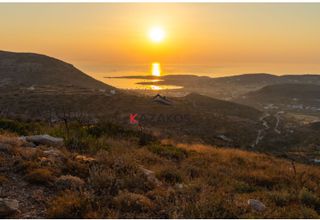 Οικόπεδο 4.300 τ.μ. για πώληση
