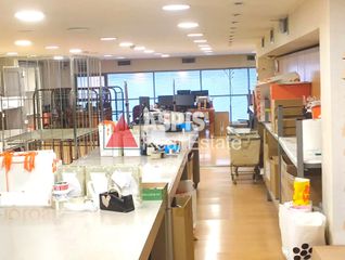 Office 226 sqm for rent