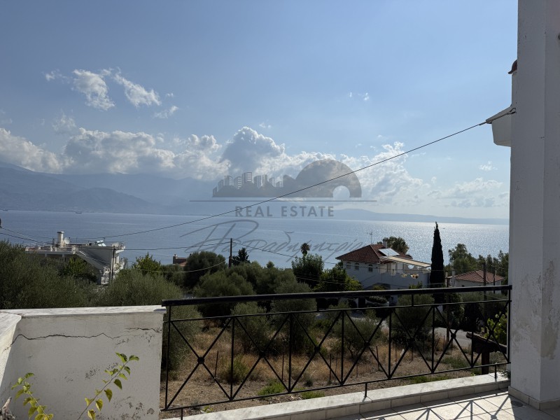 Μονοκατοικία 233 τ.μ. πρός πώληση, Μαγνησία, Βόλος