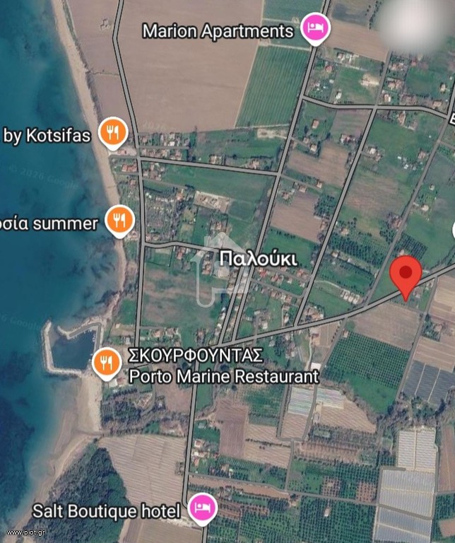 Αγροτεμάχια 2.000 τ.μ. για πώληση, Ν. Ηλείας, Αμαλιάδα