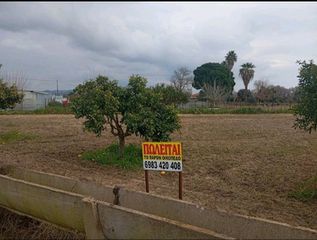 Αγροτεμάχια 2.000 τ.μ. για πώληση, Ν. Ηλείας, Αμαλιάδα-thumb-4