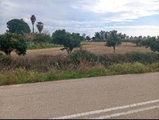 Αγροτεμάχια 2.000 τ.μ. για πώληση, Ν. Ηλείας, Αμαλιάδα-thumb-5