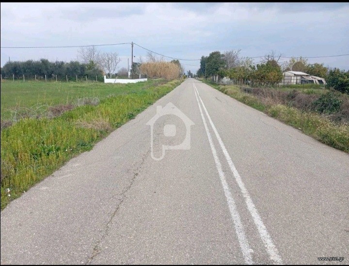 Αγροτεμάχια 2.000 τ.μ. προς πώληση, Παλούκι