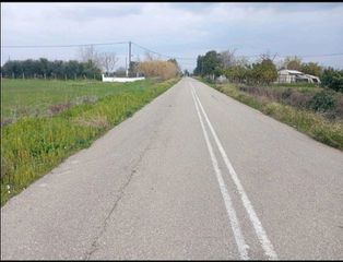 Αγροτεμάχια 2.000 τ.μ. για πώληση, Ν. Ηλείας, Αμαλιάδα-thumb-2