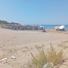 Αγροτεμάχια 2.000 τ.μ. για πώληση, Ν. Ηλείας, Αμαλιάδα-thumb-10