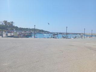 Αγροτεμάχια 2.000 τ.μ. για πώληση, Ν. Ηλείας, Αμαλιάδα-thumb-6