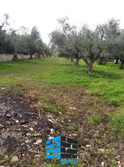 Οικόπεδο 37.000 τ.μ. για πώληση