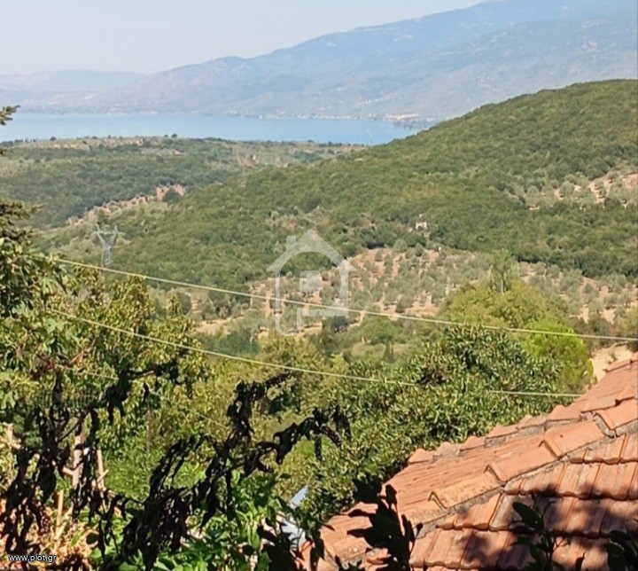 Οικόπεδο 340 τ.μ. πρός πώληση, Μαγνησία, Σηπιάδα