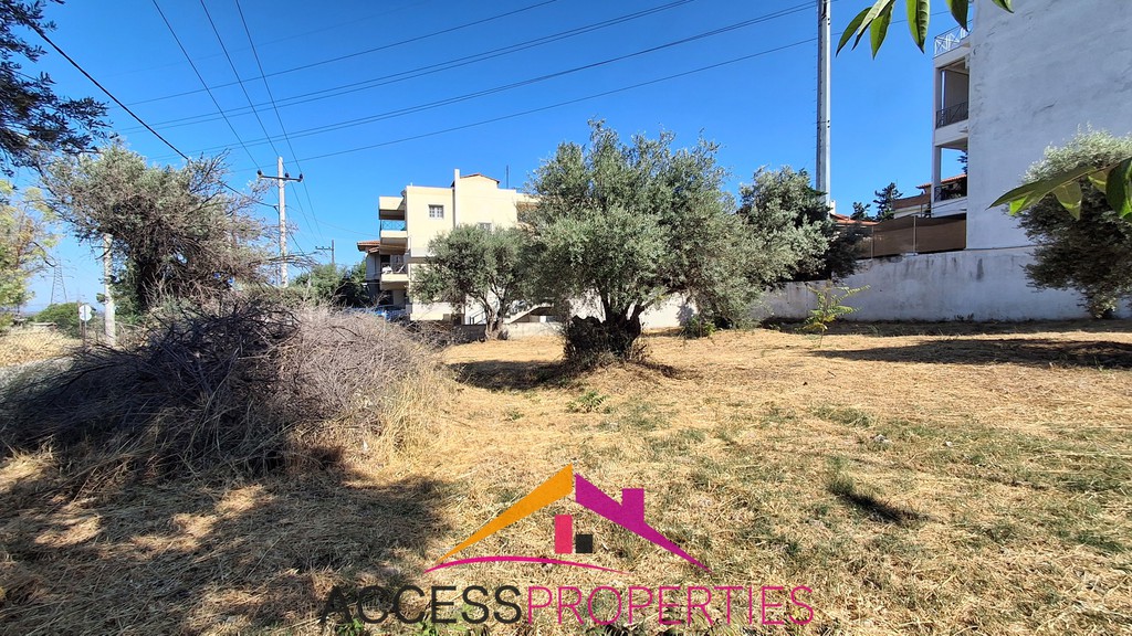 Οικόπεδο 640 τ.μ. πρός πώληση, Αθήνα - Ανατολικά Προάστια, Παλλήνη