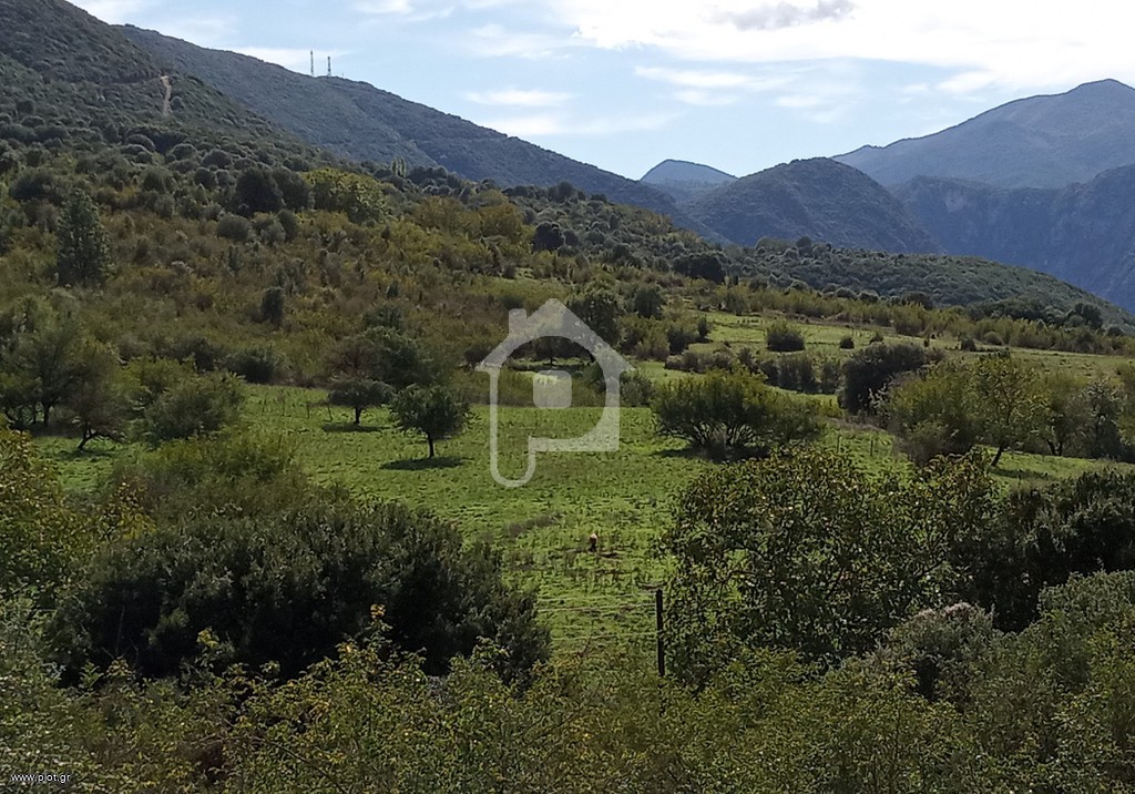Φάρμα / ράντσο 80 τ.μ. πρός ενοικίαση, Ν. Ιωαννίνων, Άγιος Δημήτριος