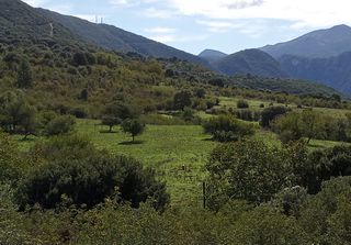 Φάρμα / ράντσο 80 τ.μ. για ενοικίαση