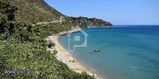 Αγροτεμάχια 4.000 τ.μ. προς πώληση, Φανερωμένη Κορώνης