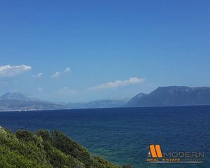 Αγροτεμάχια 12.151 τ.μ. για πώληση