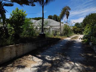 Κατάστημα 4.300 τ.μ. για ενοικίαση, Ν. Πρέβεζας, Πρέβεζα-thumb-2