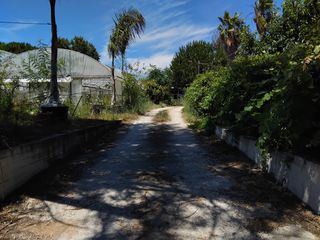Κατάστημα 4.300 τ.μ. για ενοικίαση, Ν. Πρέβεζας, Πρέβεζα-thumb-5