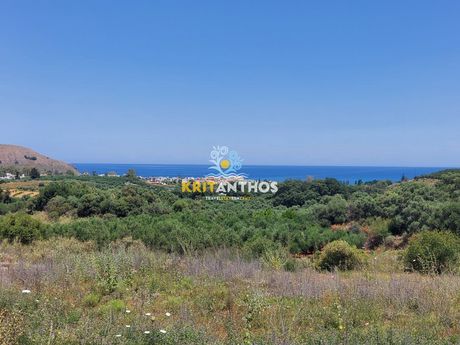 Οικόπεδο 4.019 τ.μ. προς πώληση