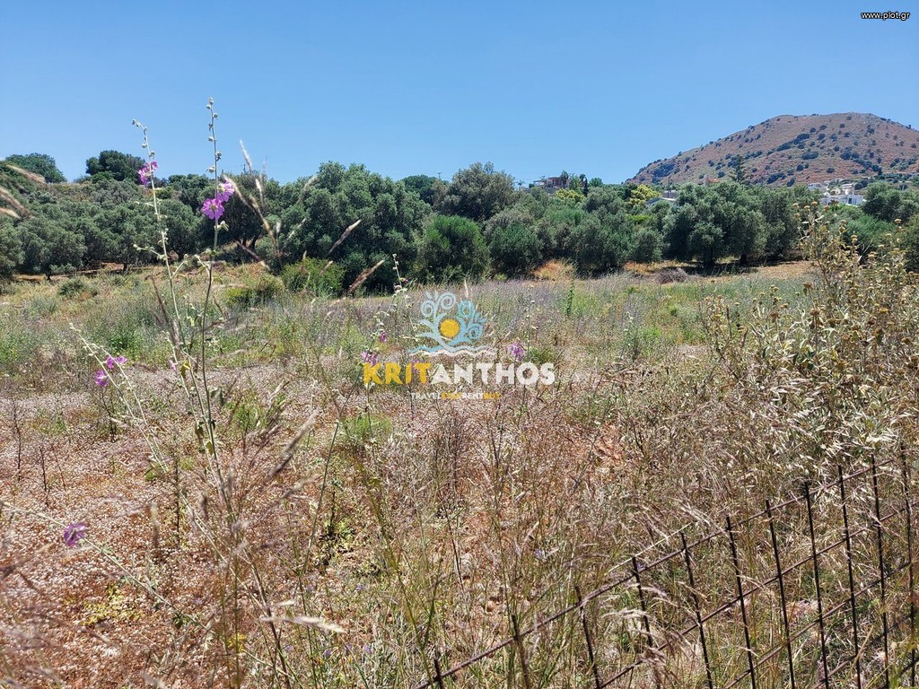 Οικόπεδο 4.019 τ.μ. προς πώληση, Γεωργιούπολη