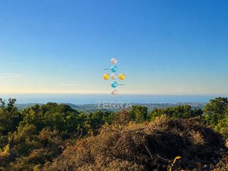 Αγροτεμάχια 4.376 τ.μ. για πώληση