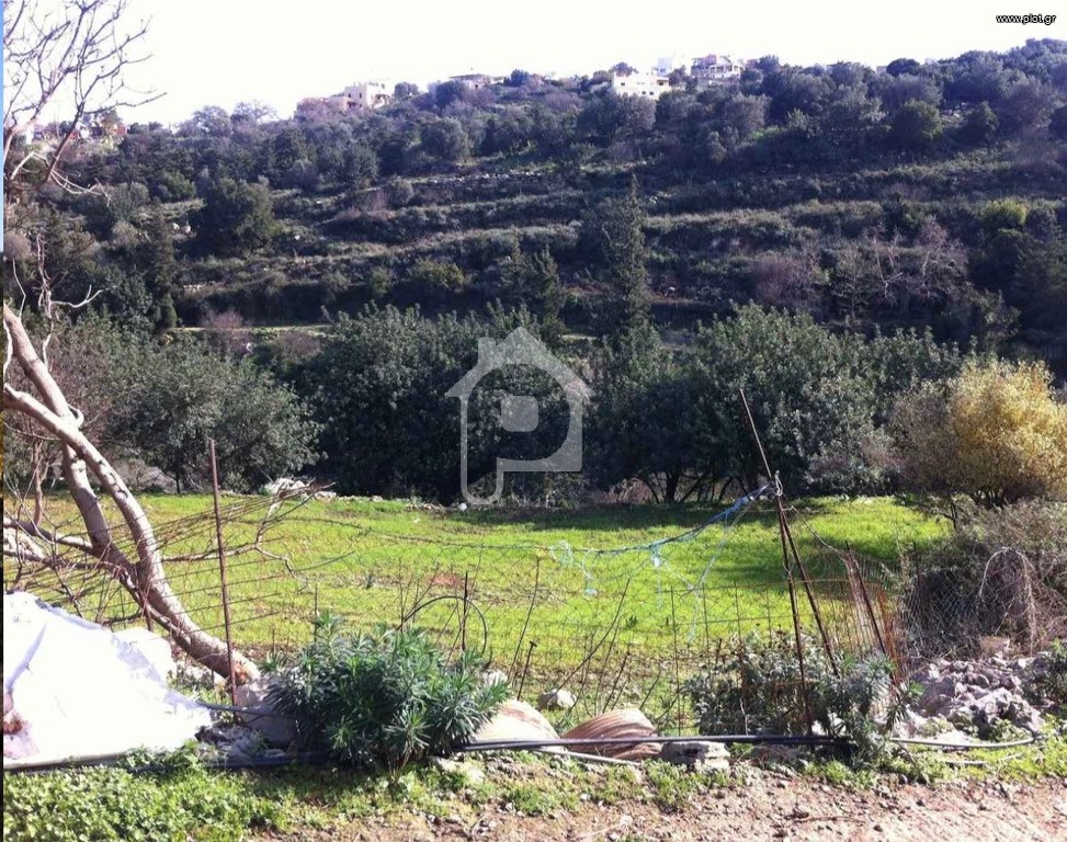 Οικόπεδο 4.200 τ.μ. προς πώληση, Κάστελλος Γεωργιούπολης