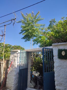 Μονοκατοικία 80 τ.μ. προς ενοικίαση