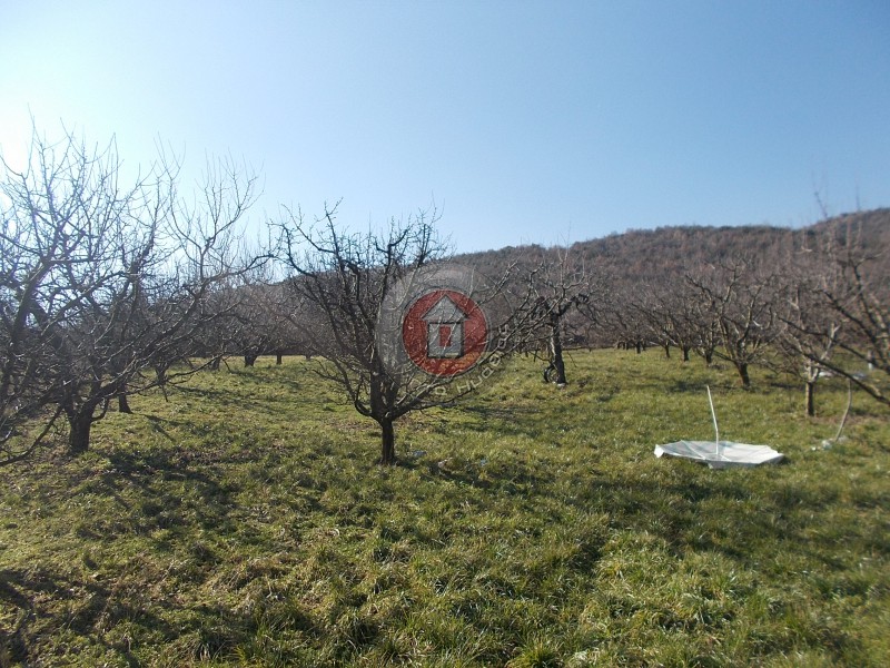 Οικόπεδο 2.375 τ.μ. προς πώληση, Ημαθία, Βέροια