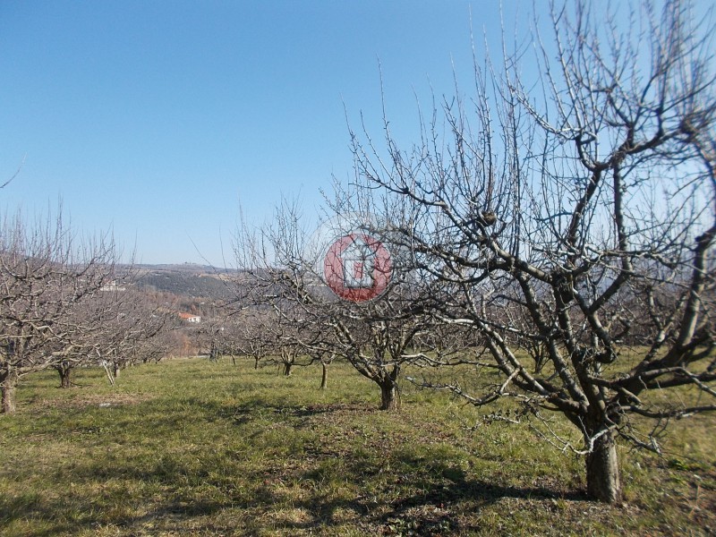 Οικόπεδο 2.375 τ.μ. προς πώληση, Ημαθία, Βέροια