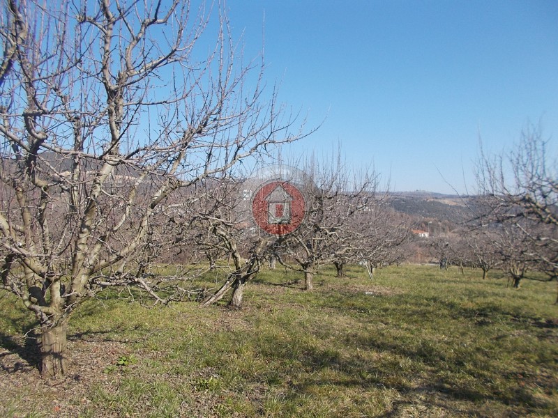 Οικόπεδο 2.375 τ.μ. προς πώληση, Ημαθία, Βέροια