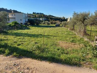 Οικόπεδο 1.000 τ.μ. για πώληση, Αχαΐα, Μεσσατίδα-thumb-1