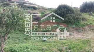 Οικόπεδο 14.000 τ.μ. για πώληση, Ν. Λασιθίου, Σητεία-thumb-12